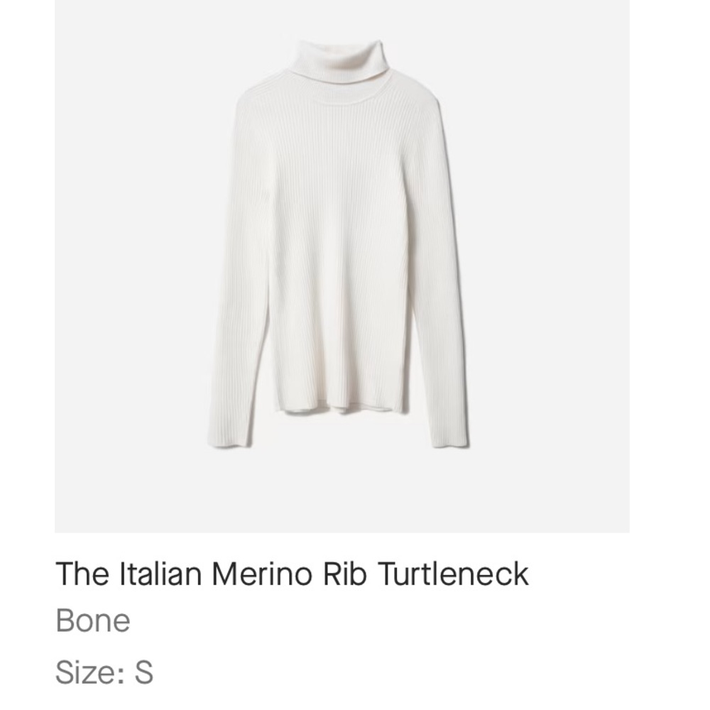 Everlane Italian Merino Wool Turtleneck